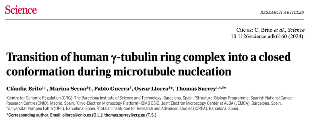 Science重磅：首次捕獲人類細胞“高速公路”構建過程的高分辨率圖像，為微管相關疾病的治療指明新的方向！