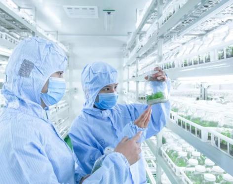 組織培養(yǎng)凈化工程：組培室車(chē)間凈化裝修設(shè)計(jì)布局及參數(shù)