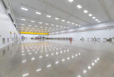 研究揭示肺炎免疫新機制，為臨床診治提供新靶點